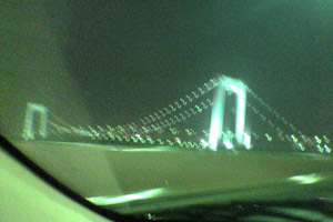 車中から撮影したらブレブレ